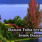 Danau Toba termasuk Jenis Danau