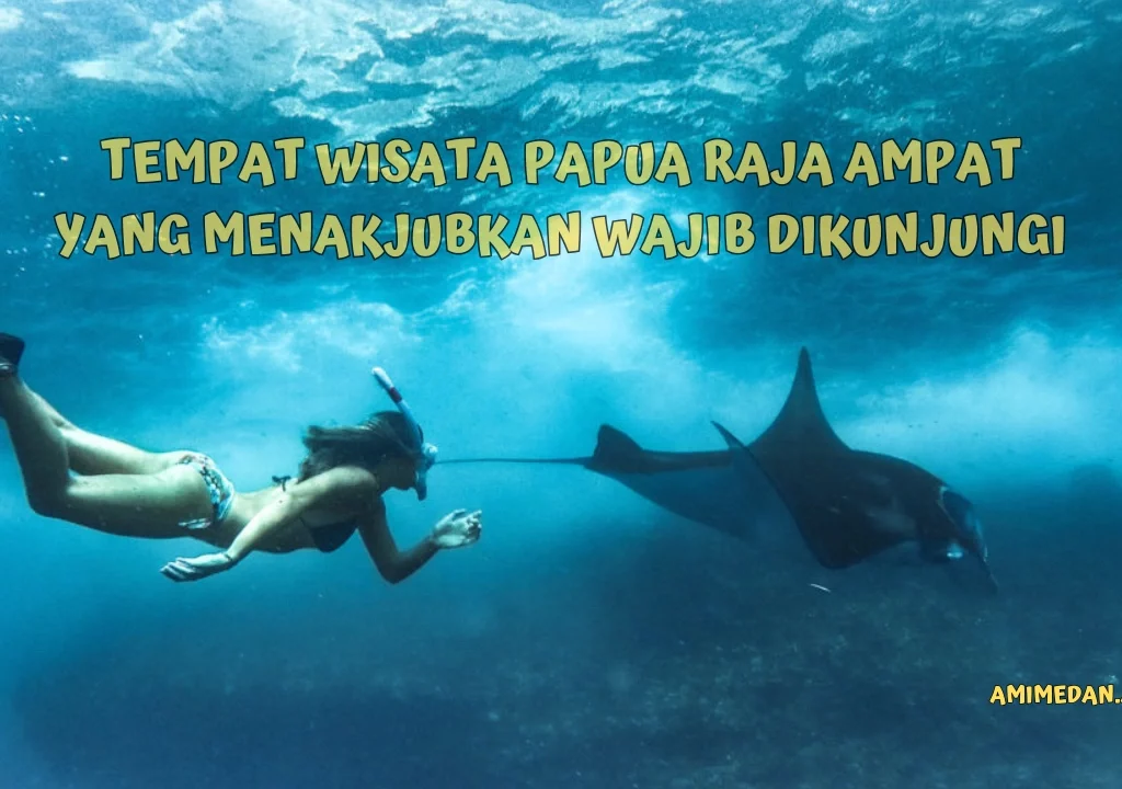 Wisata-Papua-Raja-Ampat