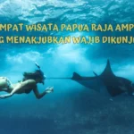 Wisata-Papua-Raja-Ampat